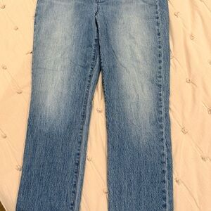 Madewell The Perfect Vintage Full Length high rise